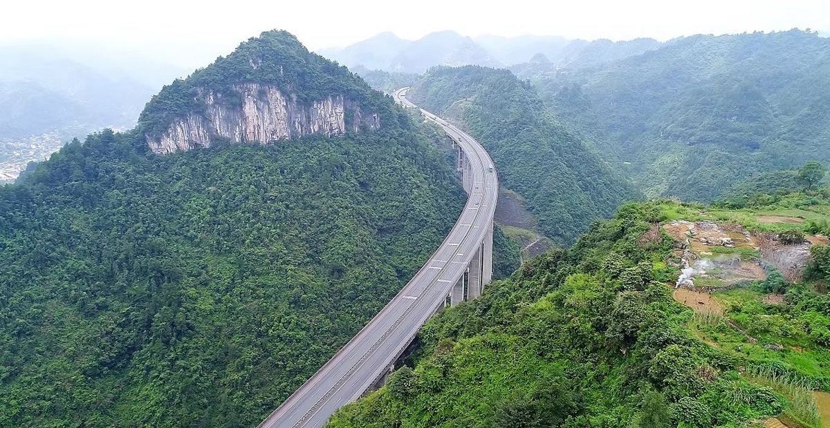 澳门四不像图片