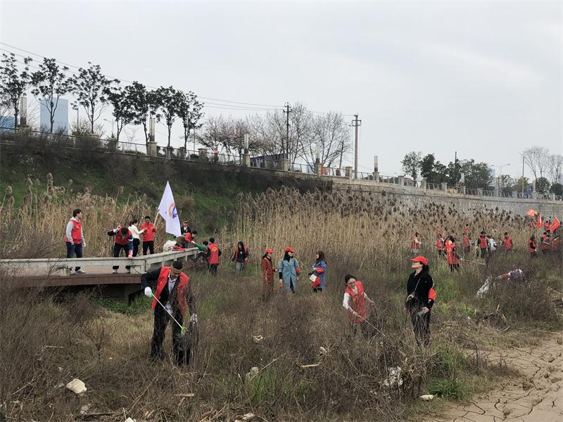 澳门四不像图片