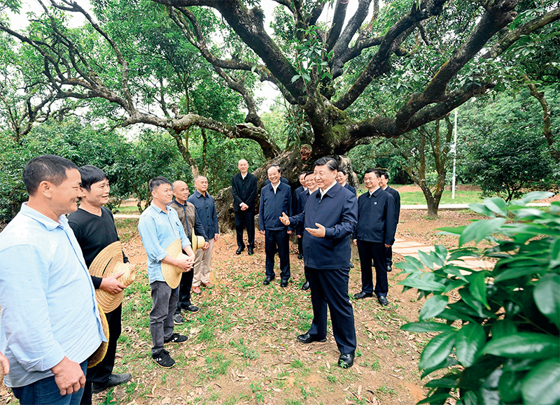 澳门四不像图片